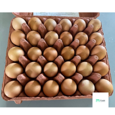 Singapore Local Eggs (Grade C)