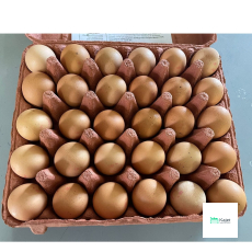 Singapore Local Eggs (Grade E)