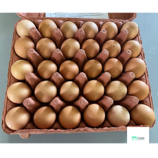 Singapore Local Eggs (Grade A)