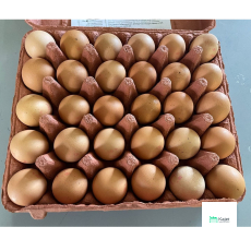 Singapore Local Eggs (Grade B)