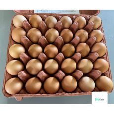 Singapore Local Eggs (Grade D)