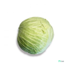 Cabbage | 包菜