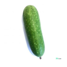 Hairy Gourd | 毛瓜