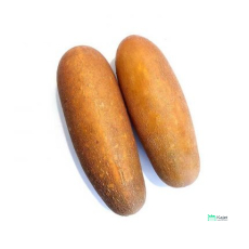 Old Cucumber | 老黄瓜
