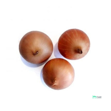 Large Onion | 白洋葱