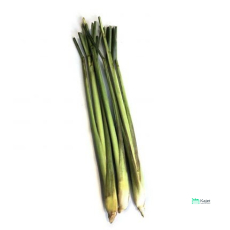 Lemon Grass | 葱毛