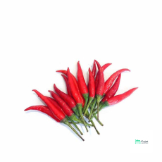 Red Chilli Padi | 小红辣椒...