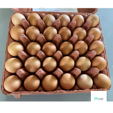 Singapore Local Eggs (Grade AA)