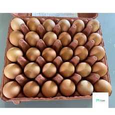 Singapore Local Eggs (Grade F)