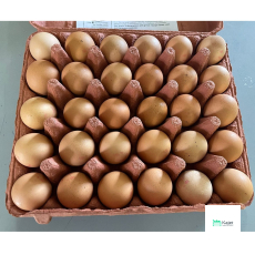 Malaysia Eggs (Grade A)