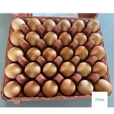 Malaysia Eggs (Grade B)