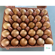 Malaysia Eggs (Grade C)