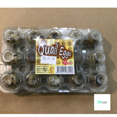 Quail Eggs