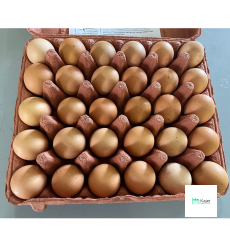 Malaysia Eggs (Grade F)